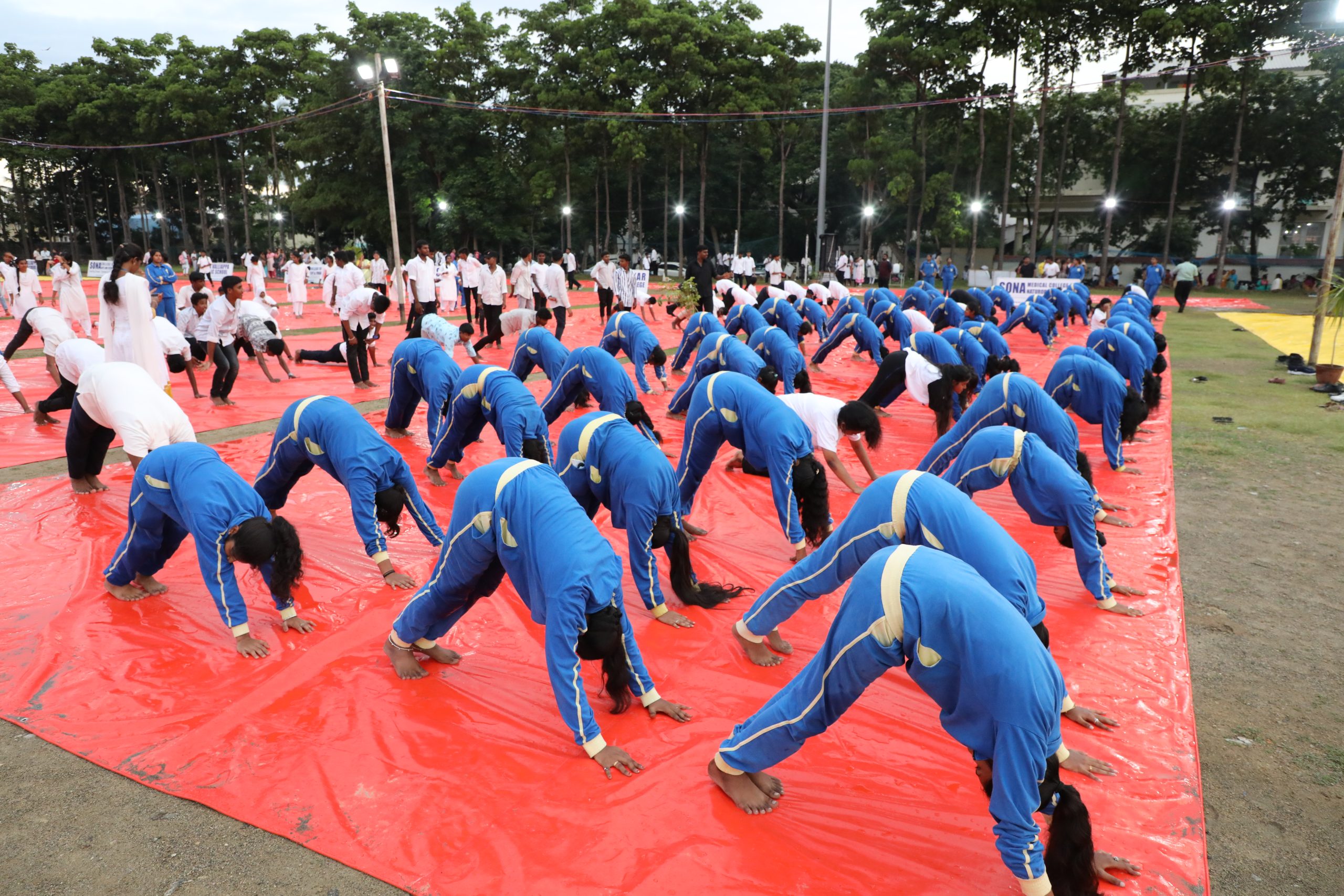 International Yoga Day 2024